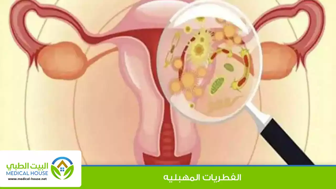 الفطريات المهبلية