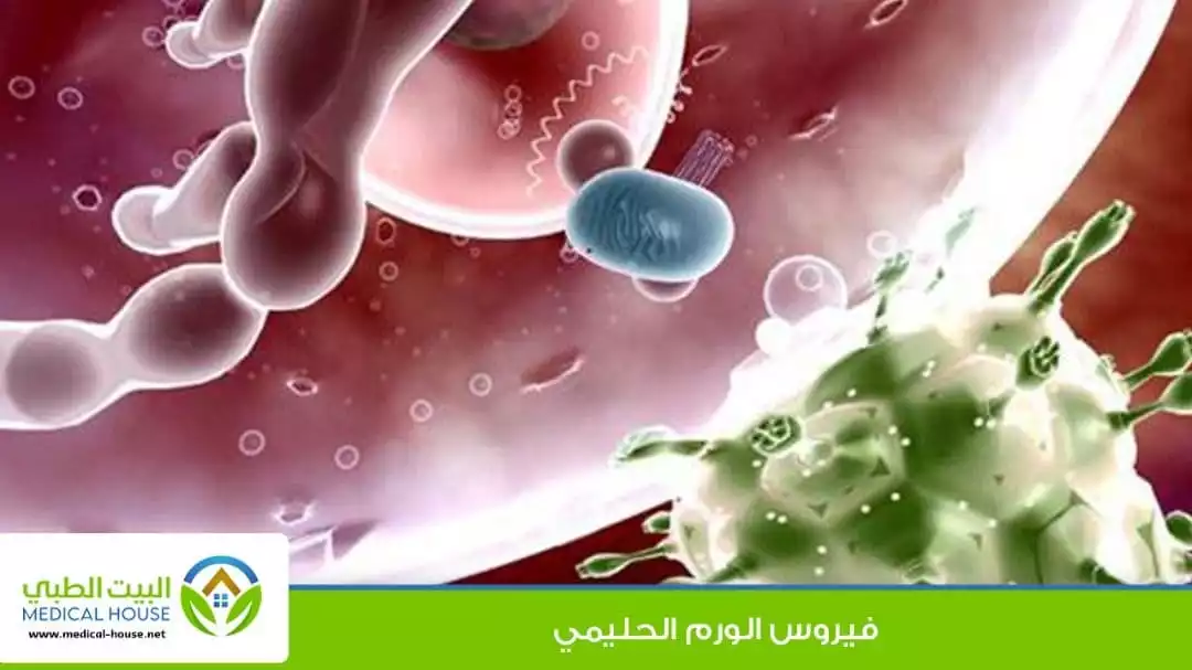 فيروس الورم الحليمي البشري HPV