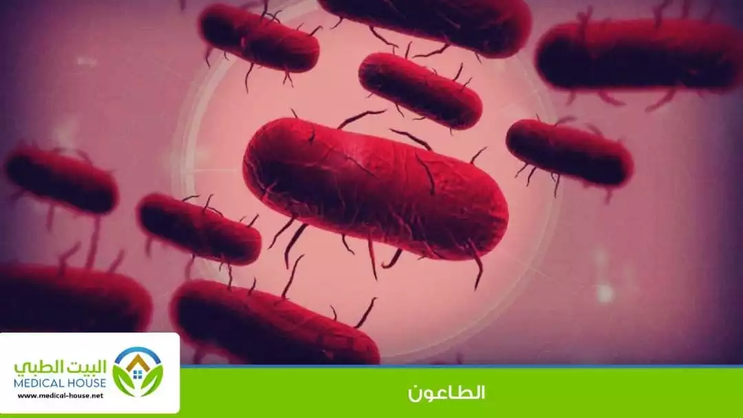 الطاعون